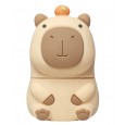Capibara Usb Stick 16 GB - Origineel Capybara Verjaardag Cadeau Idee Meisje of Jongen